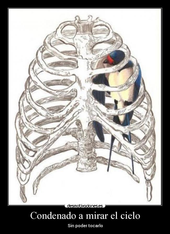 Condenado a mirar el cielo - Sin poder tocarlo