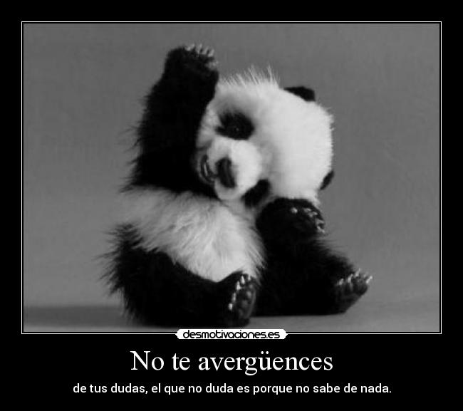 No te avergüences - 