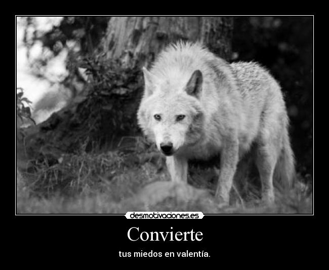 Convierte - tus miedos en valentía.