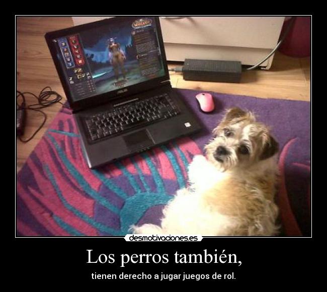 Los perros también, - tienen derecho a jugar juegos de rol.