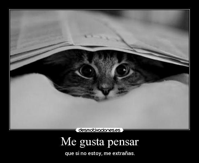 carteles makasister bienvenido republica independiente mundo desmotivaciones