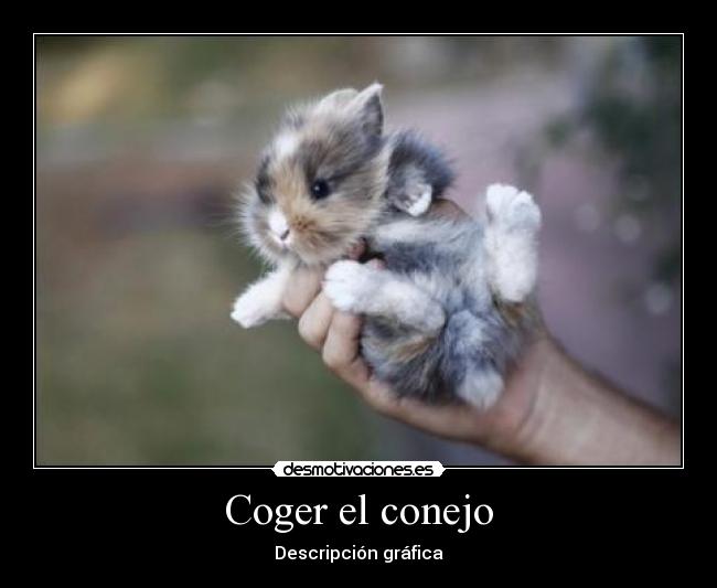 Coger el conejo - Descripción gráfica
