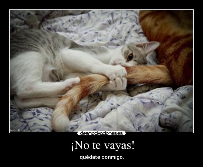 ¡No te vayas! - quédate conmigo.