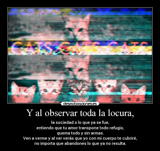 Y al observar toda la locura, - la sociedad o lo que ya se fue,
entiendo que tu amor transpone todo refugio,
quema todo y sin armas.
Ven a verme y al ver verás que yo con mi cuerpo te cubriré,
no importa que abandones lo que ya no resulta.