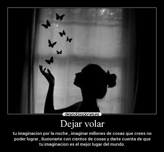 Dejar volar - 