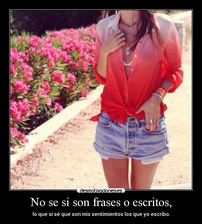 No se si son frases o escritos, -