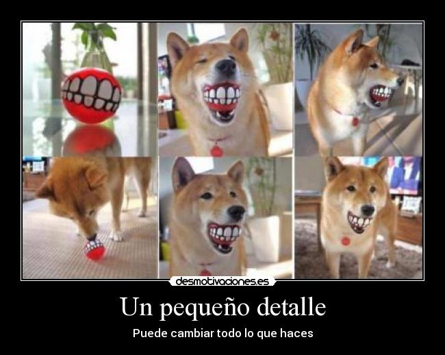 Un pequeño detalle - 