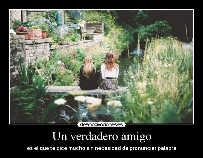 Un verdadero amigo - es el que te dice mucho sin necesidad de pronunciar palabra