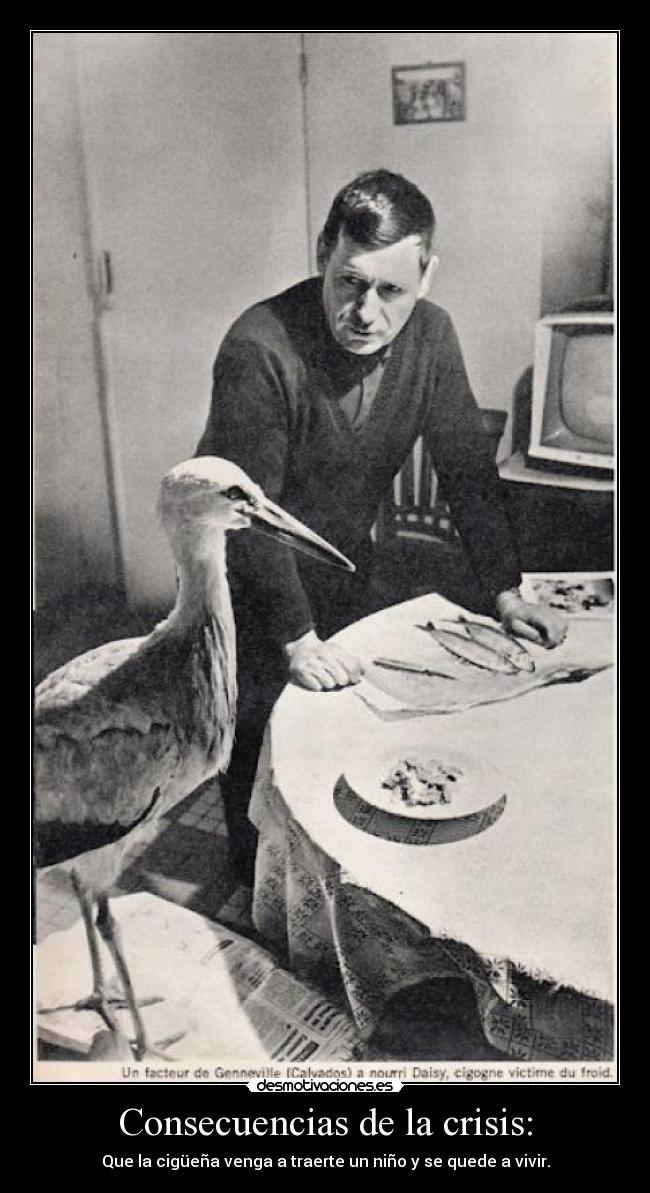 Consecuencias de la crisis: - 