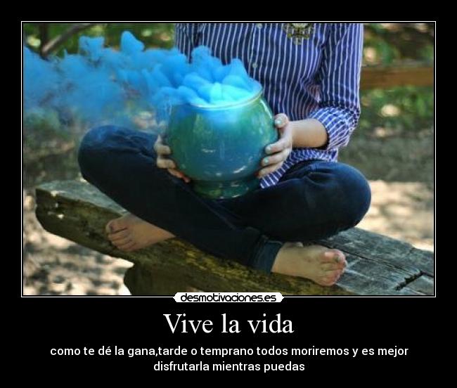 carteles vida vive vida locaa que luego todos morimos aburres 2desmoconcurso desmotivaciones