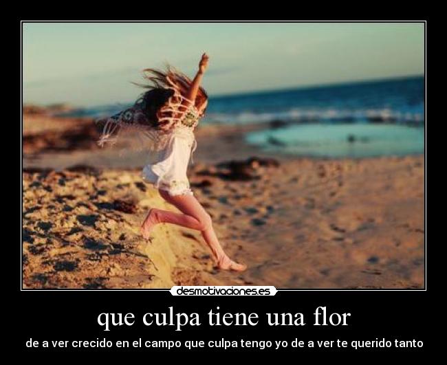 que culpa tiene una flor - 