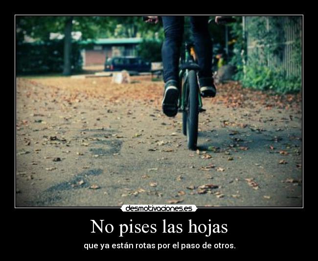 No pises las hojas - que ya están rotas por el paso de otros.