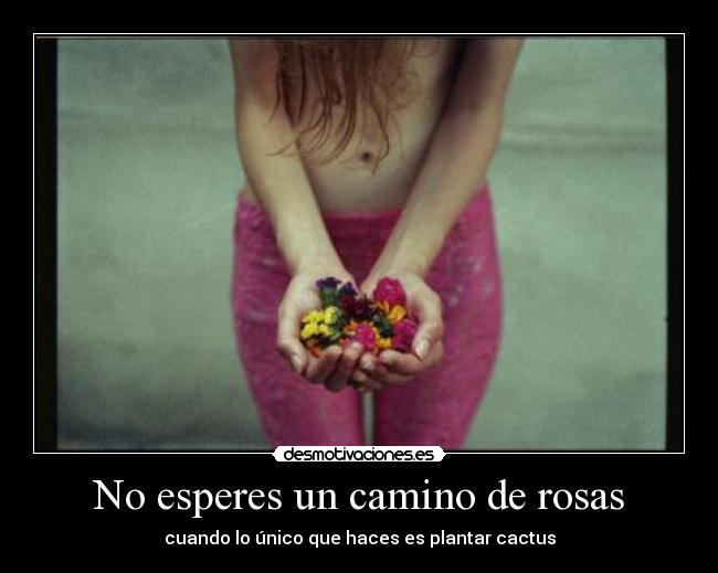 No esperes un camino de rosas -