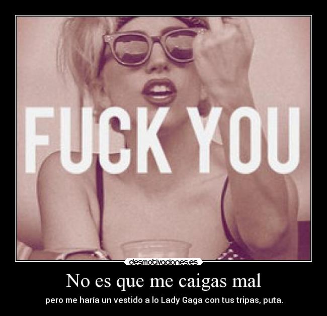 No es que me caigas mal - pero me haría un vestido a lo Lady Gaga con tus tripas, puta.