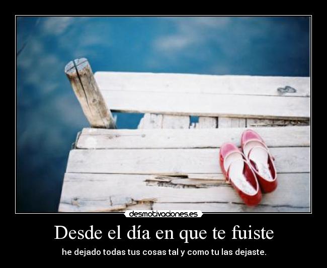 Desde el día en que te fuiste - he dejado todas tus cosas tal y como tu las dejaste.