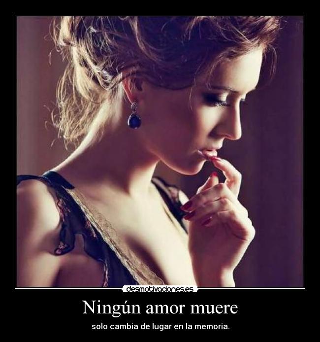 carteles amor baobas desmotivaciones