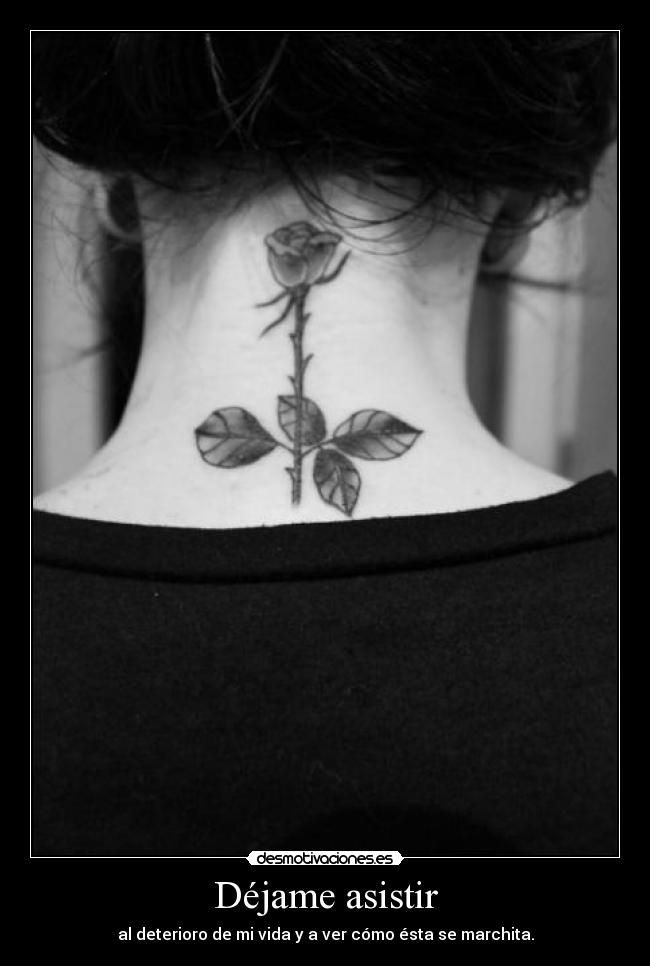 Déjame asistir - al deterioro de mi vida y a ver cómo ésta se marchita.