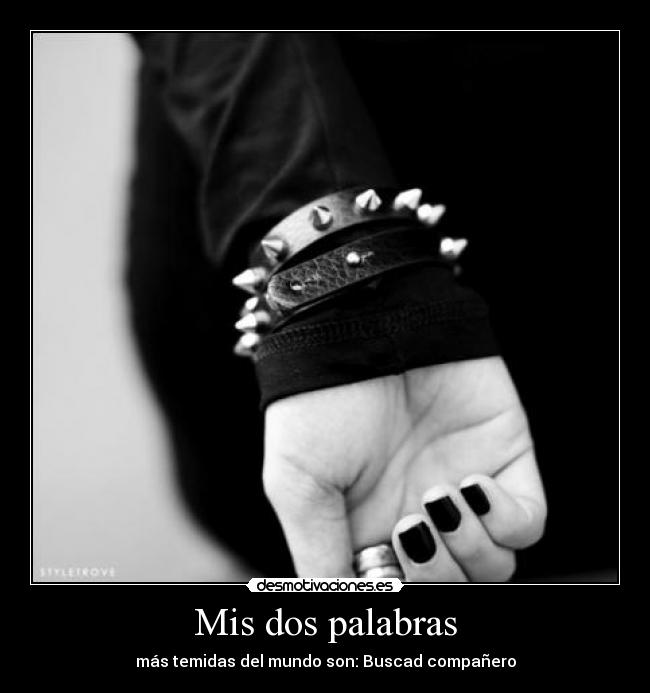Mis dos palabras -
