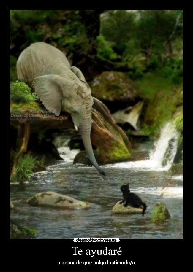 Te ayudaré - a pesar de que salga lastimado/a.