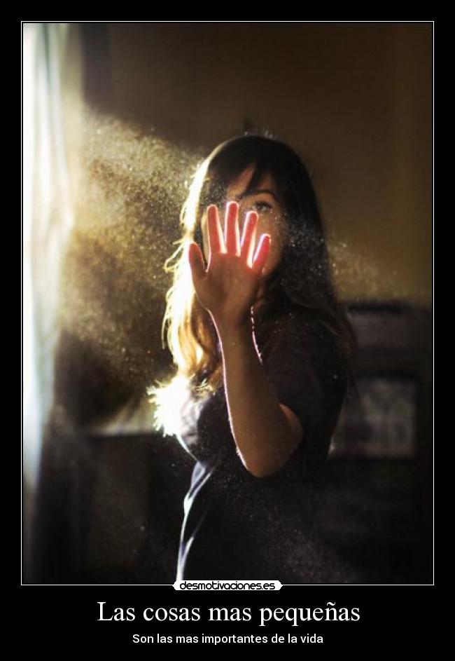 carteles seize the day desmotivaciones