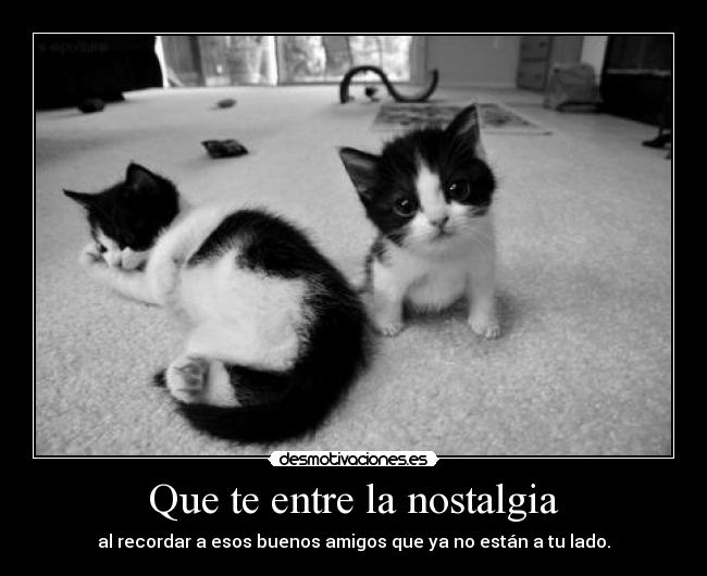 Que te entre la nostalgia - al recordar a esos buenos amigos que ya no están a tu lado.