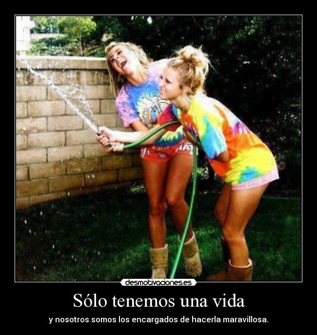 carteles vida life desmotivaciones