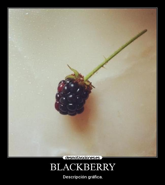 BLACKBERRY -