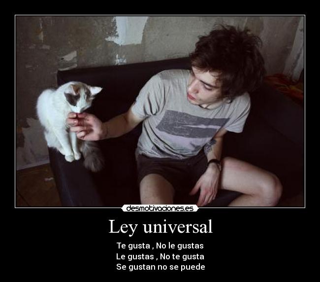 Ley universal - Te gusta , No le gustas
Le gustas , No te gusta
Se gustan no se puede