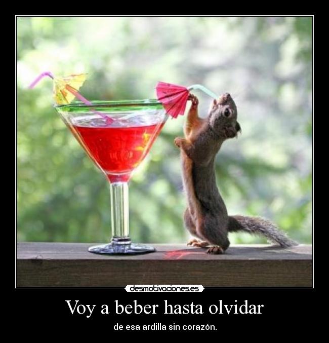 Voy a beber hasta olvidar - de esa ardilla sin corazón.