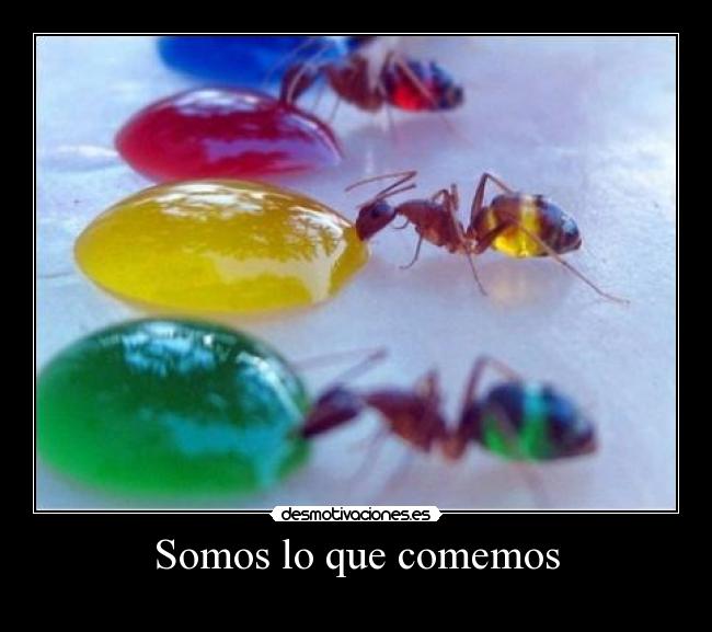 Somos lo que comemos -