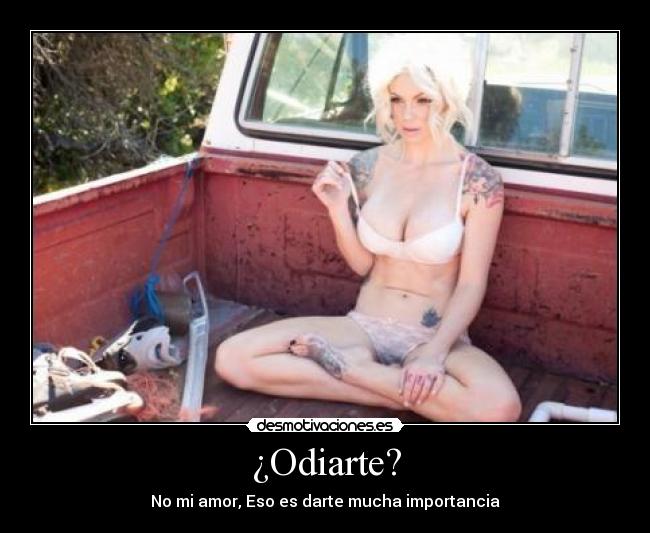 ¿Odiarte? - No mi amor, Eso es darte mucha importancia