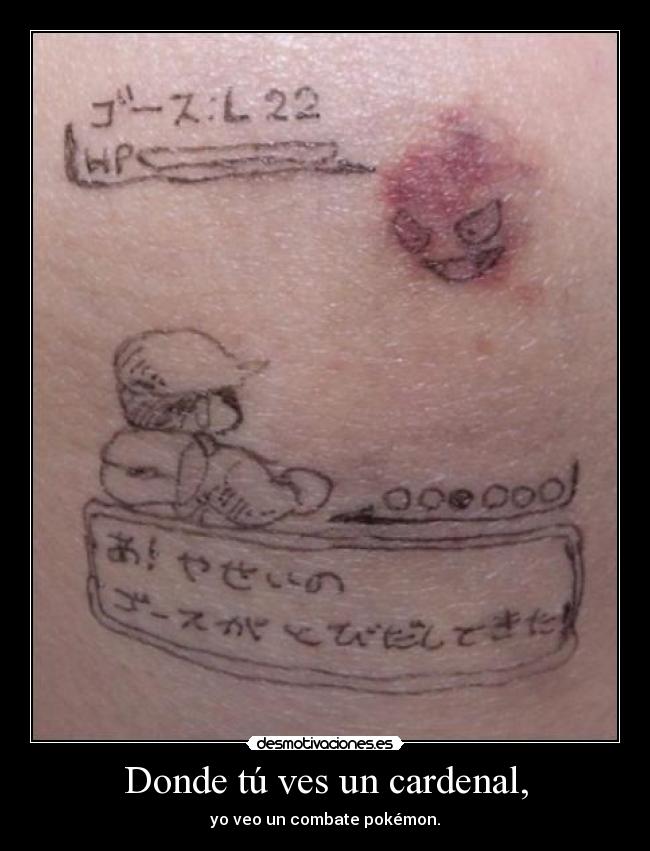 Donde tú ves un cardenal, - yo veo un combate pokémon.