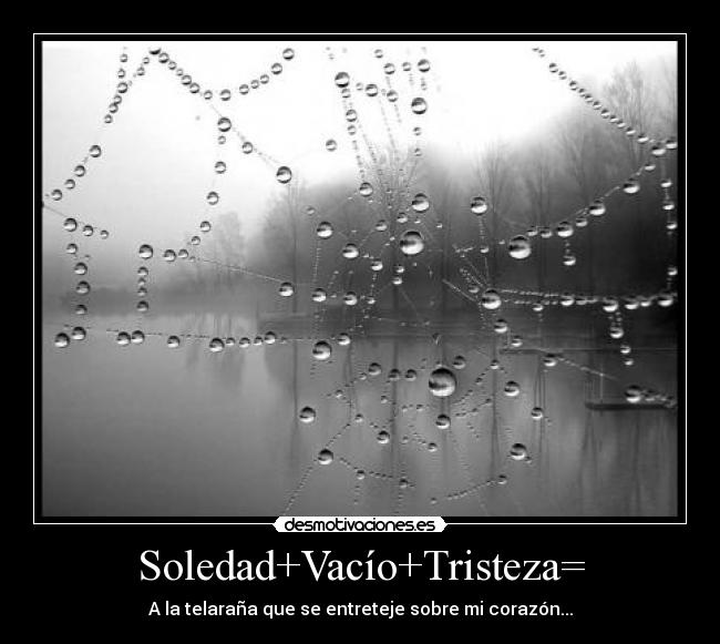 carteles soledad vacio tristeza telarana corazon desmotivaciones