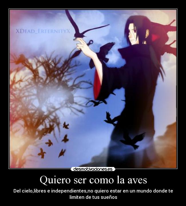 Quiero ser como la aves - Del cielo,libres e independientes,no quiero estar en un mundo donde te
limiten de tus sueños