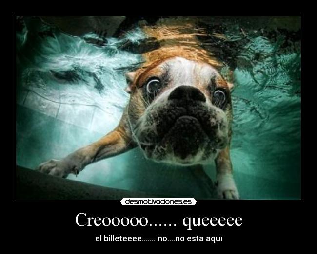 Creooooo...... queeeee - el billeteeee....... no....no esta aquí