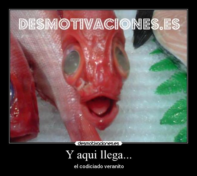 Y aqui llega... - el codiciado veranito