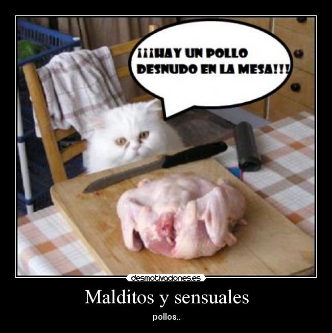 carteles pollos sin cabeza exhibicionistas desmotivaciones
