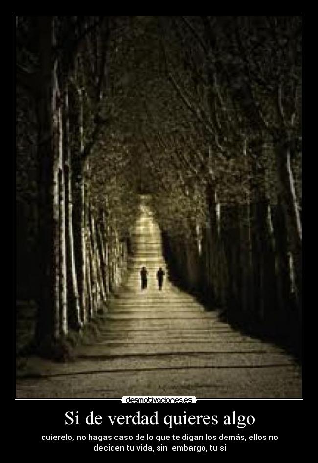 Si de verdad quieres algo - quierelo, no hagas caso de lo que te digan los demás, ellos no
deciden tu vida, sin embargo, tu si