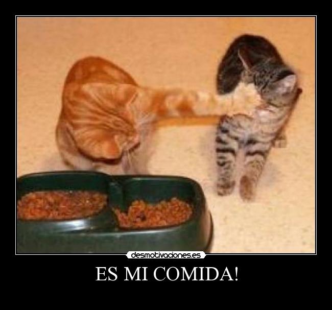 ES MI COMIDA! - 