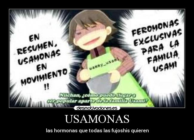 USAMONAS -