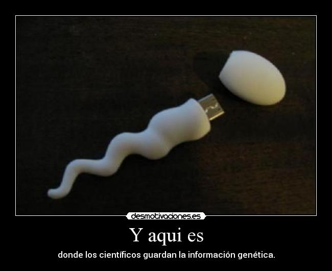 Y aqui es - donde los científicos guardan la información genética.