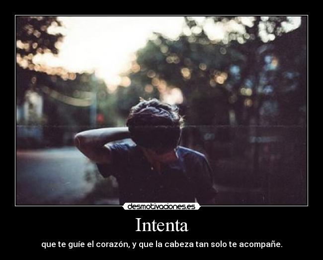 Intenta - que te guíe el corazón, y que la cabeza tan solo te acompañe.