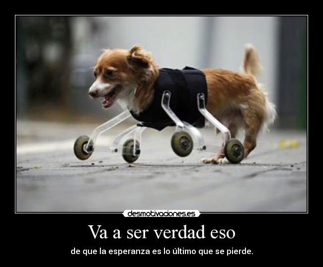 Va a ser verdad eso - de que la esperanza es lo último que se pierde.