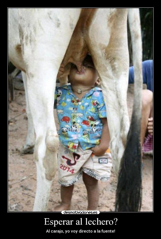 Esperar al lechero? - Al carajo, yo voy directo a la fuente!
