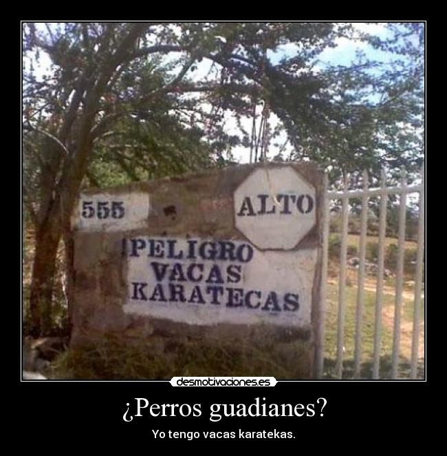 ¿Perros guadianes? -