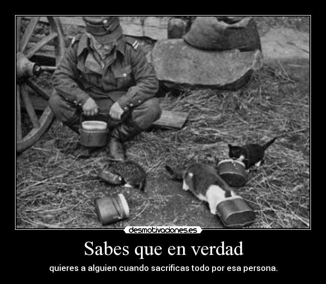 Sabes que en verdad - quieres a alguien cuando sacrificas todo por esa persona.