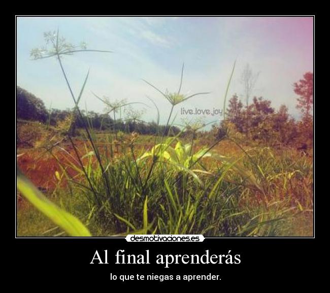 Al final aprenderás -