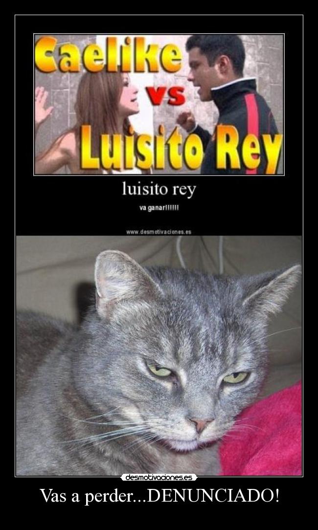 Vas a perder...DENUNCIADO! -