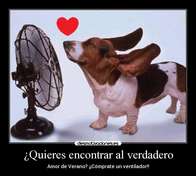 carteles amor verano ventilador fresco love desmotivaciones