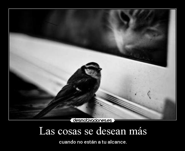 Las cosas se desean más - 